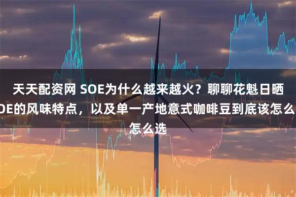 天天配资网 SOE为什么越来越火？聊聊花魁日晒SOE的风味特点，以及单一产地意式咖啡豆到底该怎么选